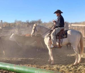 Jay on horseback herding cattle.